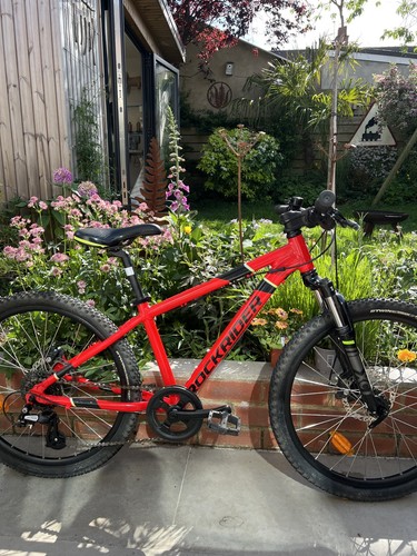 Rockrider st900 kids - st900, 24''